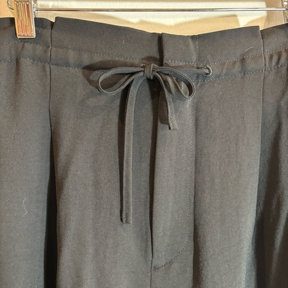 MADEWELL Sz 14 Drapey Paper Waist Elastic and Drawstring Pockets Slinky Pants - Picture 4 of 14